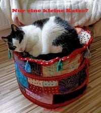 Produktbild: Nur eine kleine Katze?