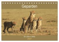 Produktbild: Geparden - Ein Leben in Afrika (Tischkalender 2027 DIN A5 quer), CALVENDO Monatskalender