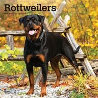 Produktbild: Rottweilers 2023 Square