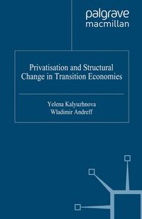 Produktbild: Privatisation and Structural Change in Transition Economies