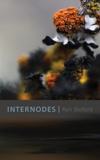 Produktbild: Internodes