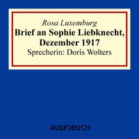 Bild vom Artikel Brief an Sophie Liebknecht, Dezember 1917 vom Autor Rosa Luxemburg