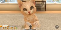 Little Friends - Dogs & Cats