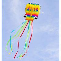 Produktbild: HQ Drachen Rainbow Octopus Spannweite (Details) 700mm Windst&auml;rken-Eignung 2 - 5 bft