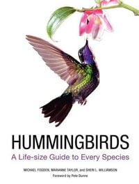 Produktbild: Hummingbirds