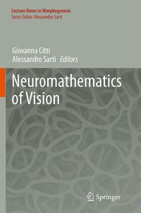 Produktbild: Neuromathematics of Vision