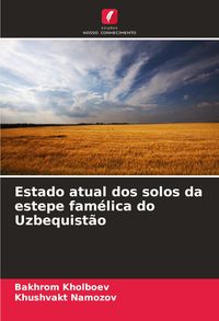 Produktbild: Estado atual dos solos da estepe fam&eacute;lica do Uzbequist&atilde;o