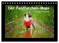 Produktbild: Der Feldfurchen-Mops (Tischkalender 2026 DIN A5 quer), CALVENDO Monatskalender
