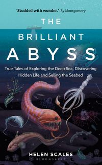Produktbild: Scales, H: The Brilliant Abyss