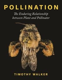 Produktbild: Pollination