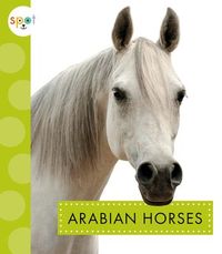 Produktbild: Arabian Horses