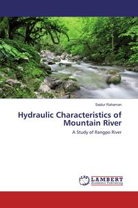 Produktbild: Hydraulic Characteristics of Mountain River