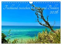 Produktbild: Fischland zwischen Ostsee und Bodden (Wandkalender 2026 DIN A4 quer), CALVENDO Monatskalender