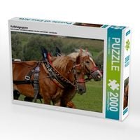 Produktbild: Kaltblutgespann (Puzzle)