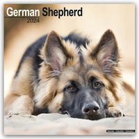 Bild vom Artikel German Shepherd - Deutsche Schäferhunde 2024 - 16-Monatskalender vom Autor Avonside Publishing Ltd