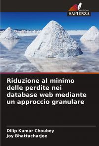Produktbild: Riduzione al minimo delle perdite nei database web mediante un approccio granulare