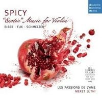 Produktbild: Les Passions De L'Ame: Spicy-Exotic Music for Violin by Bibe