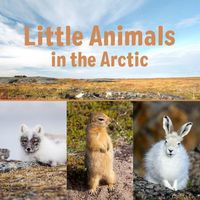 Produktbild: Little Animals in the Arctic