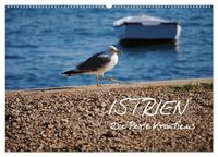 Produktbild: ISTRIEN - Die Perle Kroatiens (Wandkalender 2026 DIN A2 quer), CALVENDO Monatskalender