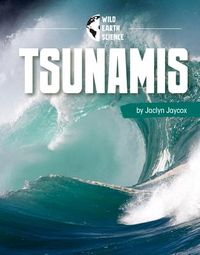 Produktbild: Tsunamis