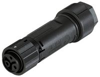 Produktbild: Wieland Electric 46.031.4453.1 Steckverbinder