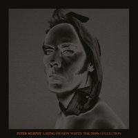 Produktbild: Laying On New Waves (9LP+Buch Box)