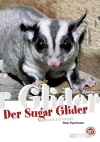 Bild vom Artikel Der Sugar Glider vom Autor Peter Puschmann
