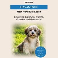 Produktbild: Havaneser