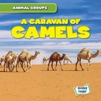 Produktbild: Caravan Of Camels