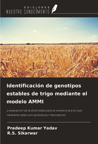 Produktbild: Identificaci&oacute;n de genotipos estables de trigo mediante el modelo AMMI