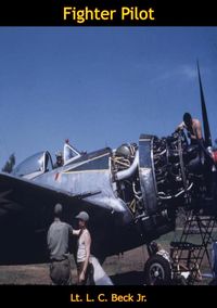 Produktbild: Fighter Pilot