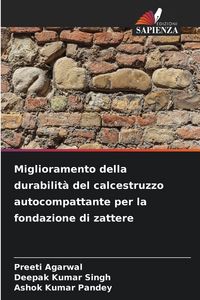Produktbild: Miglioramento della durabilit&agrave; del calcestruzzo autocompattante per la fondazione di zattere