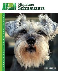Produktbild: Miniature Schnauzers