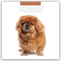 Produktbild: Pekingese &ndash; Pekinese &ndash; Peking Palasthund 2027 &ndash; 16-Monatskalender