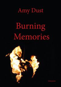 Bild vom Artikel Burning Memories vom Autor Amy Dust