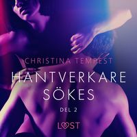 Produktbild: Hantverkare s&ouml;kes Del 2 - erotisk novell