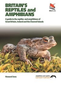 Produktbild: Britain`s Reptiles and Amphibians