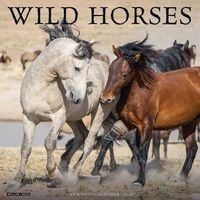 Produktbild: Wild Horses 2026 Wall Calendar