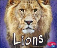 Produktbild: LIONS