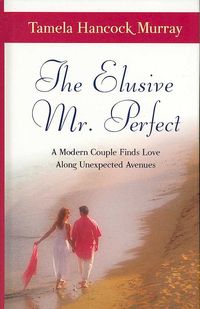 Produktbild: The Elusive Mr. Perfect: A Modern Couple Finds Love Along Unexpected Avenues