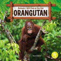 Produktbild: Orangutan