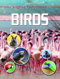 Produktbild: BIRDS