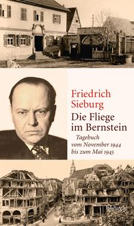 Produktbild: Die Fliege im Bernstein