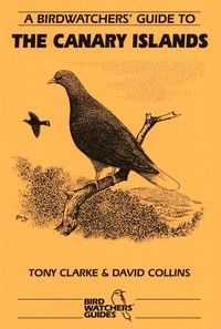 Produktbild: A Birdwatchers' Guide to the Canary Islands