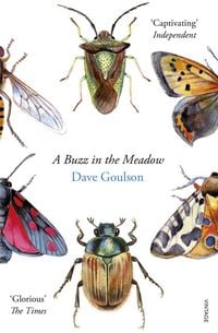 Produktbild: A Buzz in the Meadow