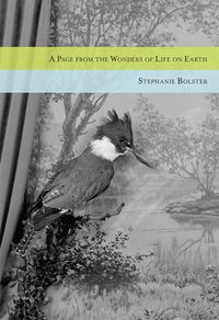 Produktbild: Page from the Wonders of Life on Earth