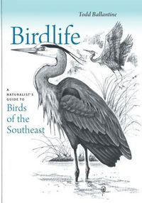 Produktbild: Birdlife