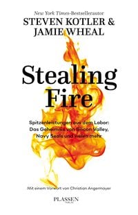 Produktbild: Stealing Fire