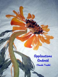 Produktbild: Applications Android
