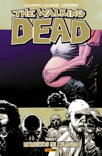 Produktbild: The Walking Dead vol. 07